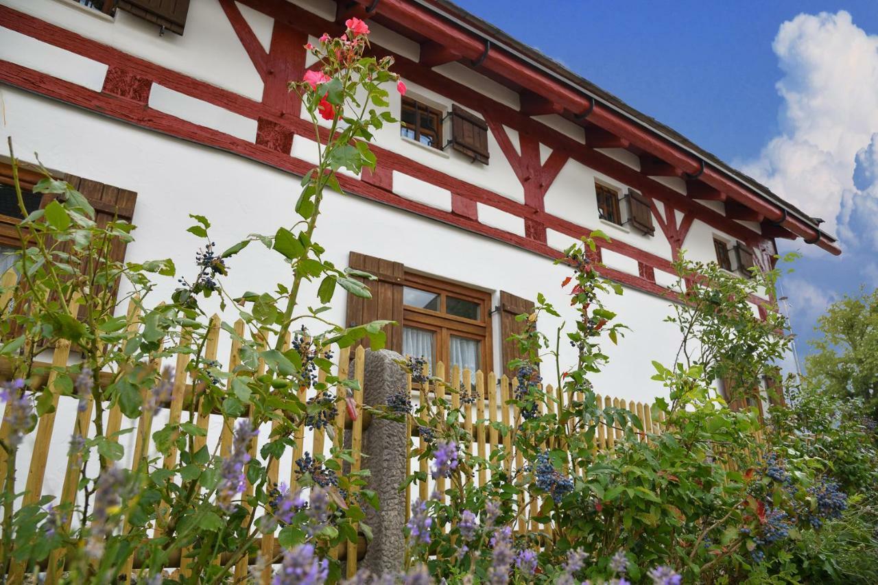 바이른그라이스 Jurahaus Hirschberg 아파트 외부 사진